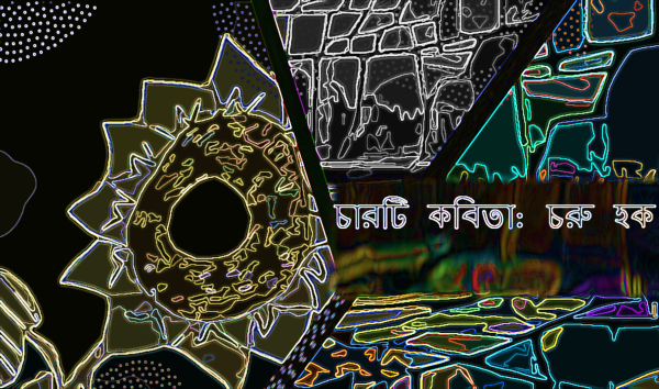 চারটি কবিতা: চরু হক